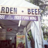 texas_state_fair_fried_pork_wing.JPG