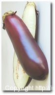 Eggplant-Baingan
